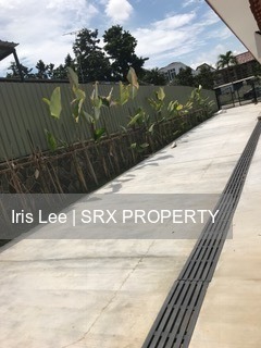 Ponggol Park (D19), Detached #161650852